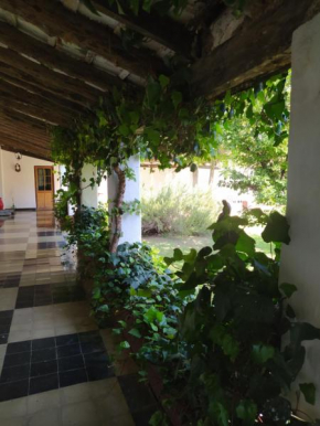 Hotel del Alto